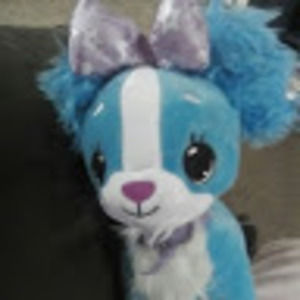 Meet your Posher, Kittygirl